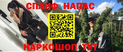 гашик Нарткала